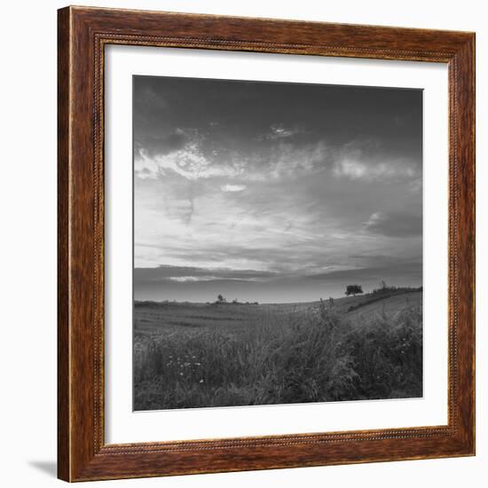 Neobican Dan-Tomislav Bogovic-Framed Photographic Print