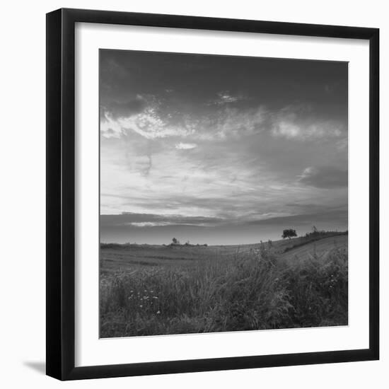 Neobican Dan-Tomislav Bogovic-Framed Photographic Print