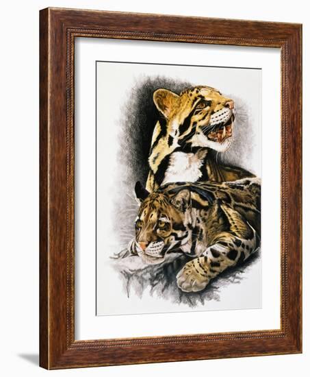 Neofelis Nebulosa-Barbara Keith-Framed Giclee Print