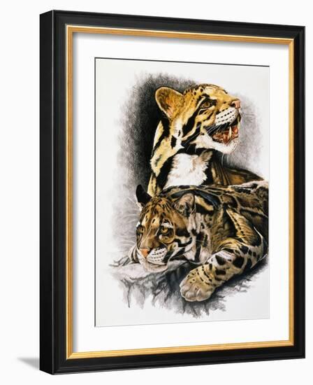 Neofelis Nebulosa-Barbara Keith-Framed Giclee Print