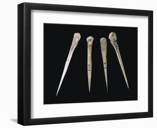 Neolithic bone pins. Artist: Unknown-Unknown-Framed Giclee Print