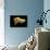 Neolithic Ivory Bison-null-Photographic Print displayed on a wall