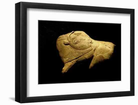 Neolithic Ivory Bison-null-Framed Photographic Print