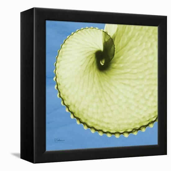 Neon Argonaut-Albert Koetsier-Framed Stretched Canvas