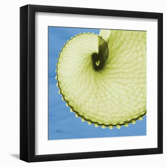 Neon Argonaut-Albert Koetsier-Framed Art Print