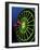 Neon Darts and Dartboard-null-Framed Photographic Print