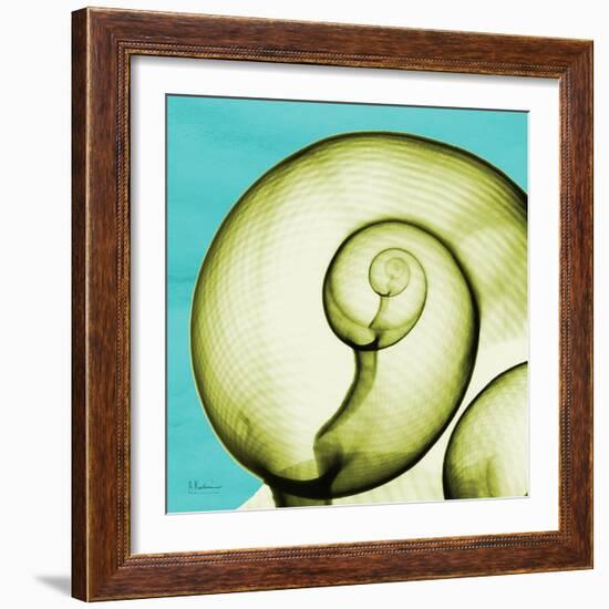 Neon Moonsnail-Albert Koetsier-Framed Art Print