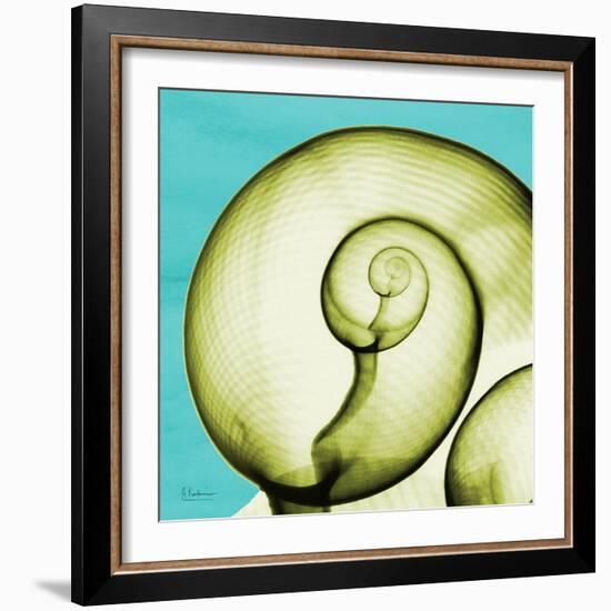 Neon Moonsnail-Albert Koetsier-Framed Art Print