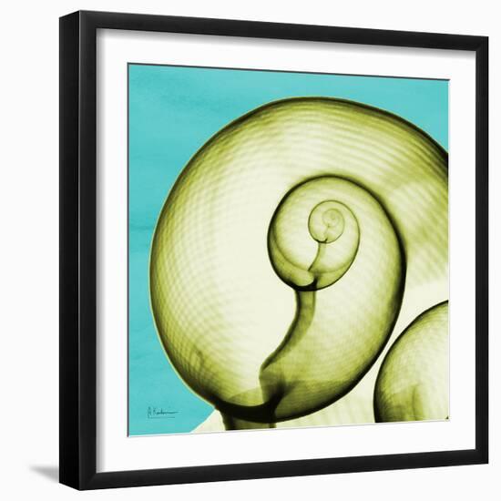 Neon Moonsnail-Albert Koetsier-Framed Art Print