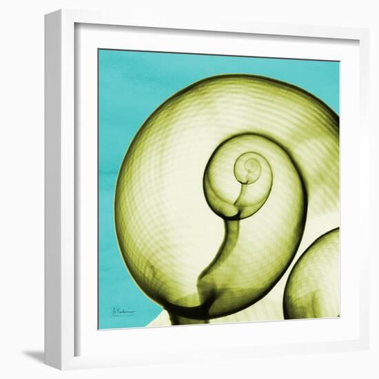 Neon Moonsnail-Albert Koetsier-Framed Art Print