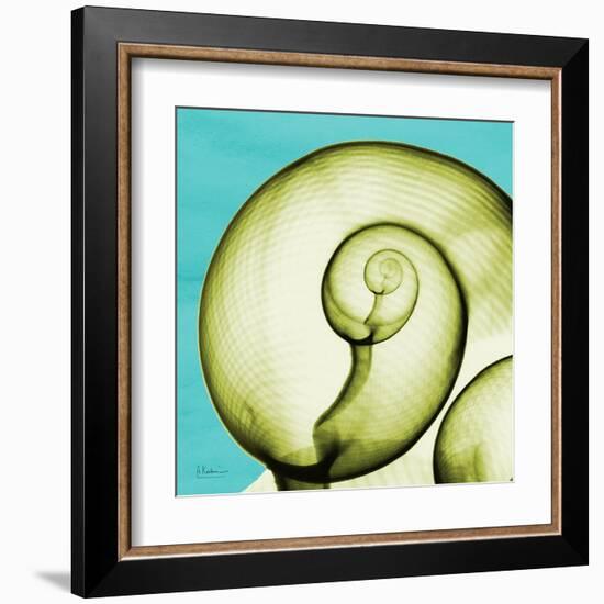 Neon Moonsnail-Albert Koetsier-Framed Art Print