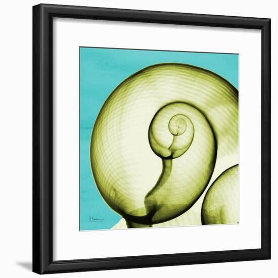 Neon Moonsnail-Albert Koetsier-Framed Premium Giclee Print