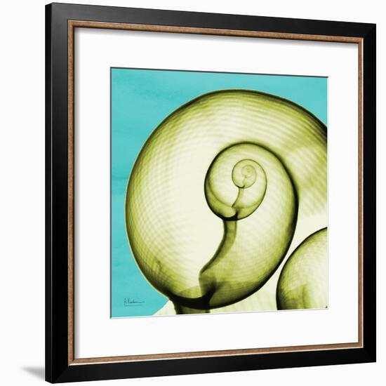 Neon Moonsnail-Albert Koetsier-Framed Premium Giclee Print