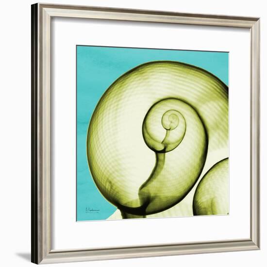 Neon Moonsnail-Albert Koetsier-Framed Premium Giclee Print