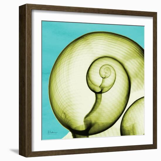 Neon Moonsnail-Albert Koetsier-Framed Premium Giclee Print