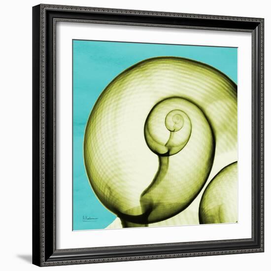 Neon Moonsnail-Albert Koetsier-Framed Premium Giclee Print