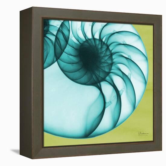 Neon Nautilus-Albert Koetsier-Framed Stretched Canvas