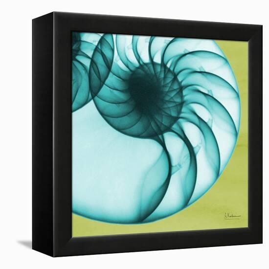 Neon Nautilus-Albert Koetsier-Framed Stretched Canvas