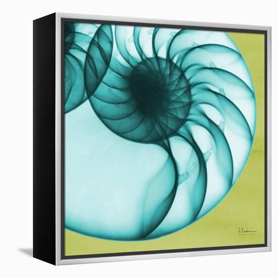 Neon Nautilus-Albert Koetsier-Framed Stretched Canvas