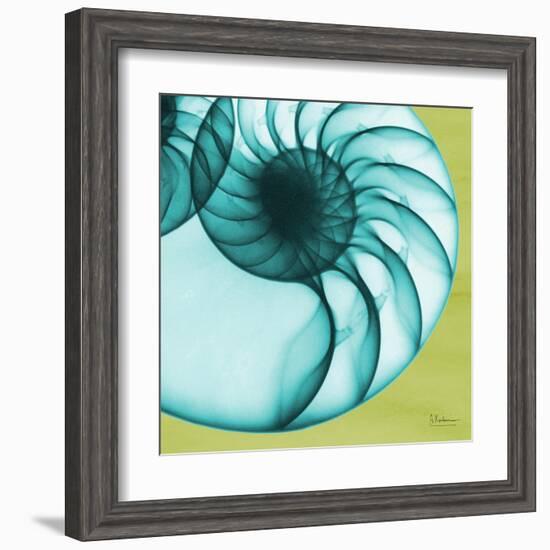 Neon Nautilus-Albert Koetsier-Framed Art Print