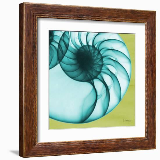 Neon Nautilus-Albert Koetsier-Framed Art Print