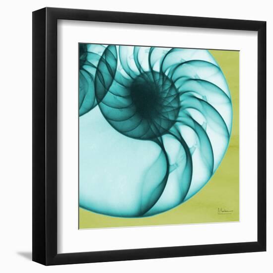 Neon Nautilus-Albert Koetsier-Framed Art Print