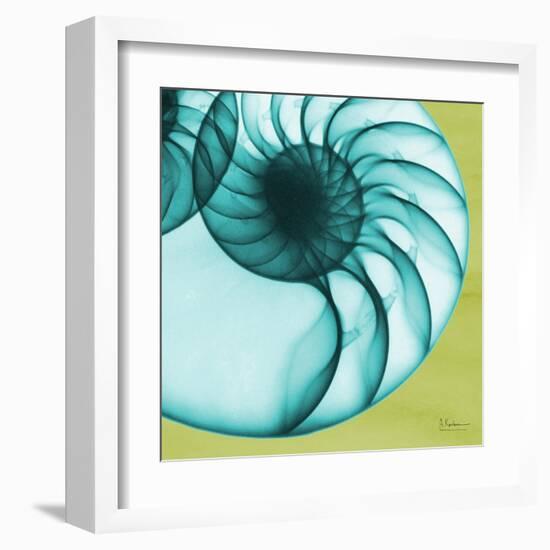 Neon Nautilus-Albert Koetsier-Framed Art Print