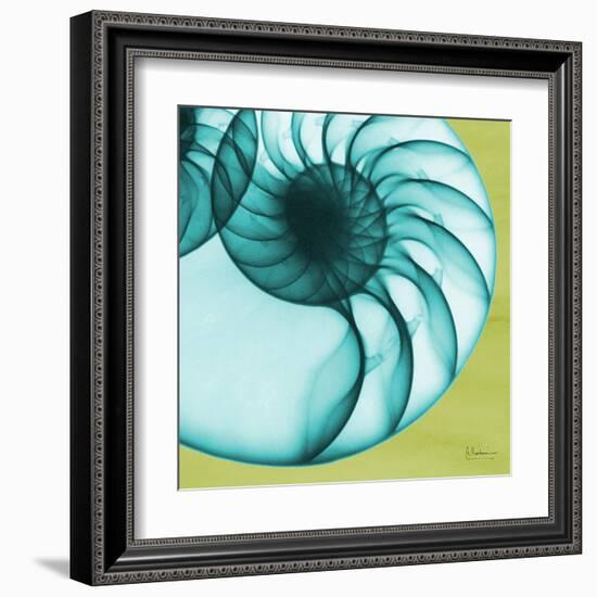 Neon Nautilus-Albert Koetsier-Framed Art Print