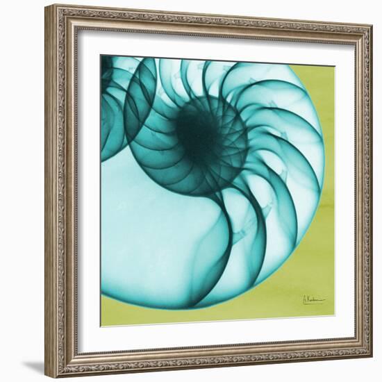 Neon Nautilus-Albert Koetsier-Framed Art Print