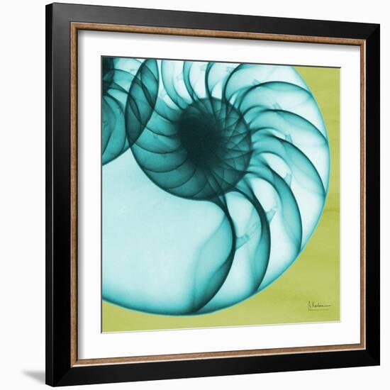 Neon Nautilus-Albert Koetsier-Framed Art Print