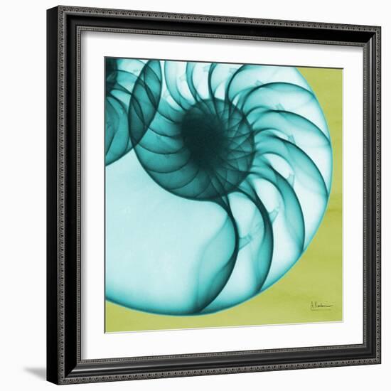 Neon Nautilus-Albert Koetsier-Framed Art Print