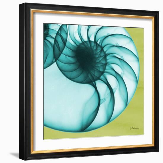 Neon Nautilus-Albert Koetsier-Framed Art Print