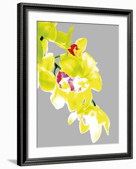 Neon Orchid I-Sukhanlee-Framed Giclee Print