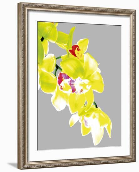 Neon Orchid I-Sukhanlee-Framed Giclee Print