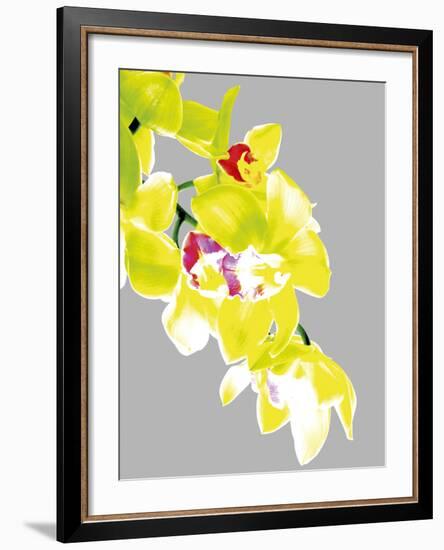 Neon Orchid I-Sukhanlee-Framed Giclee Print