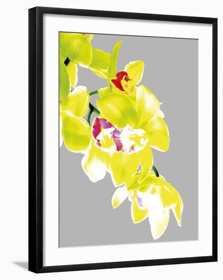 Neon Orchid I-Sukhanlee-Framed Giclee Print