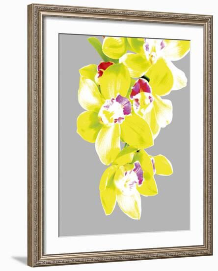 Neon Orchid II-Sukhanlee-Framed Giclee Print