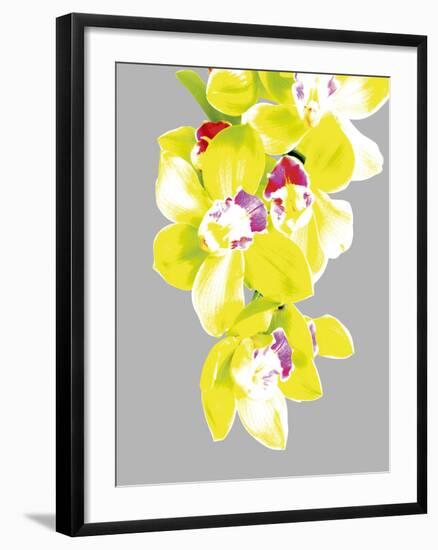 Neon Orchid II-Sukhanlee-Framed Giclee Print