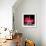 Neon Paris RB-Hailey Carr-Framed Art Print displayed on a wall