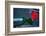 Neon rose, Waterfront Park, Portland, Oregon, USA-Panoramic Images-Framed Photographic Print