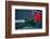 Neon rose, Waterfront Park, Portland, Oregon, USA-Panoramic Images-Framed Photographic Print