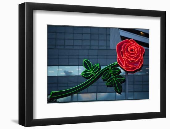 Neon rose, Waterfront Park, Portland, Oregon, USA-Panoramic Images-Framed Photographic Print