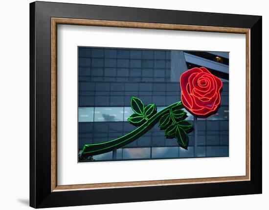 Neon rose, Waterfront Park, Portland, Oregon, USA-Panoramic Images-Framed Photographic Print