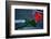 Neon rose, Waterfront Park, Portland, Oregon, USA-Panoramic Images-Framed Photographic Print