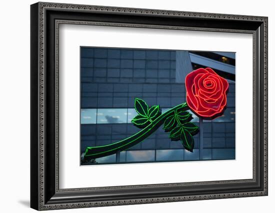 Neon rose, Waterfront Park, Portland, Oregon, USA-Panoramic Images-Framed Photographic Print