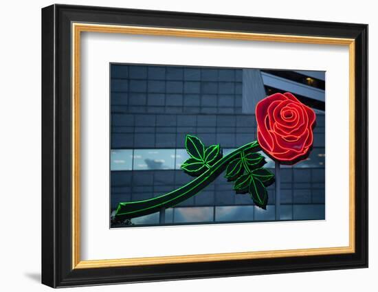 Neon rose, Waterfront Park, Portland, Oregon, USA-Panoramic Images-Framed Photographic Print