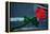 Neon rose, Waterfront Park, Portland, Oregon, USA-Panoramic Images-Framed Premier Image Canvas