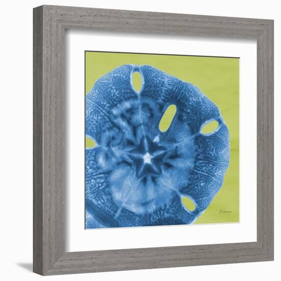 Neon Sand Dollar-Albert Koetsier-Framed Art Print