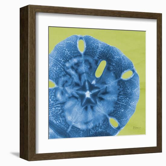 Neon Sand Dollar-Albert Koetsier-Framed Art Print