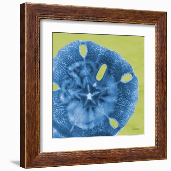 Neon Sand Dollar-Albert Koetsier-Framed Art Print